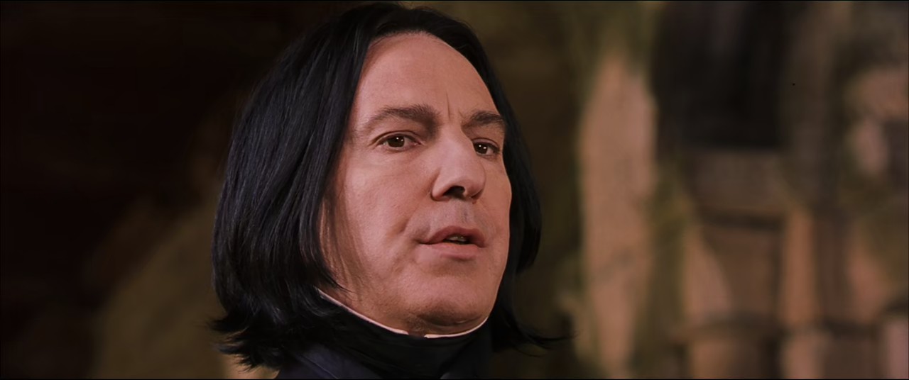 Harry Potter and the Philosopher's Stone (2001) BluRay Hindi + English 720p 10bit HEVC HE-AAC 5.1 ESub.mkv.0005